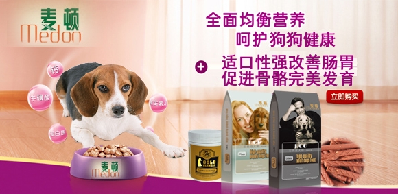 大型犬.jpg
