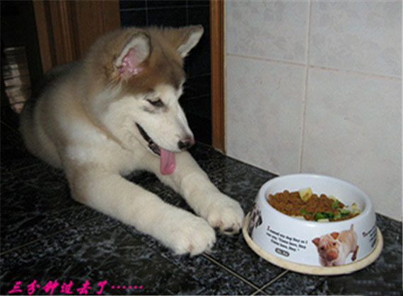 t0139a21c1c31c20075_副本_副本_副本.jpg