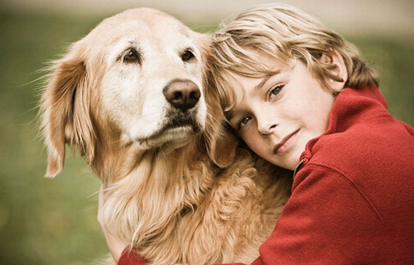 金毛犬發燒了該怎麼辦
