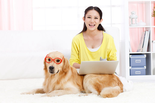 金毛犬老咳嗽怎麼辦