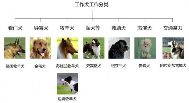 工作犬工作分類