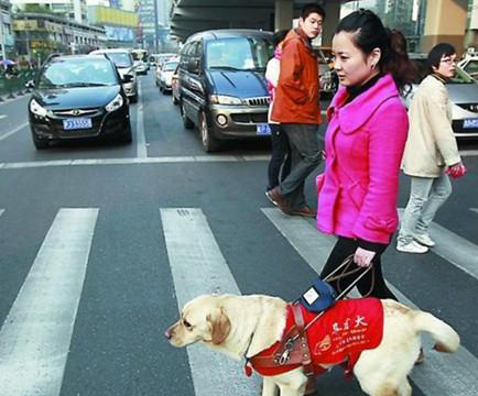 導盲犬