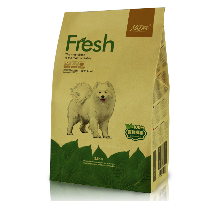 薩摩耶成犬-正面.jpg