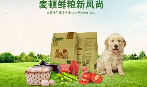 拉布拉多犬怎麼養-麥頓鮮糧告訴你