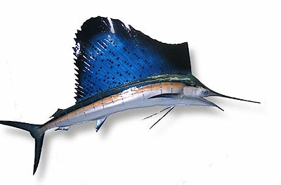 美國旗魚
