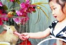 竟還有愛吃肉喝酒的小兔兔,大塊兒吃肉”的神奇兔子