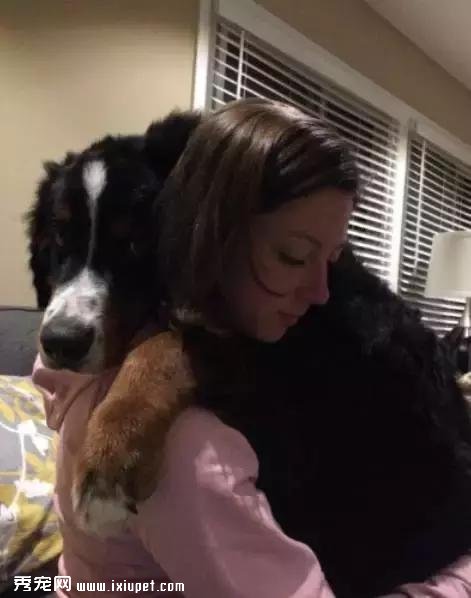 嫌麻煩！這就是我養大型犬的原因！