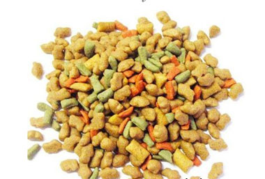 寵物專家認為喂狗糧的4點好處