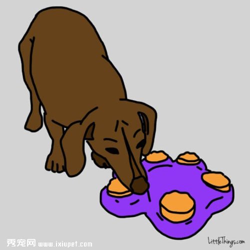 家長出門後讓寵物獨守家中的快樂方法！