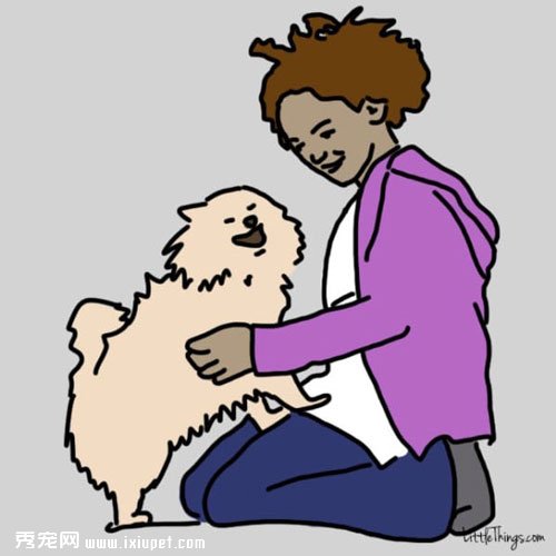 家長出門後讓寵物獨守家中的快樂方法！