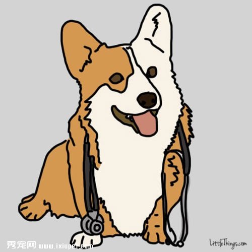 家長出門後讓寵物獨守家中的快樂方法！