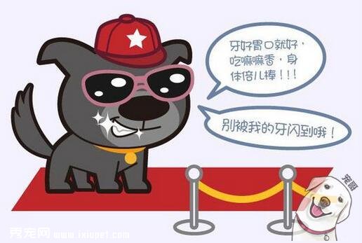 狗狗零食隱藏著這麼多學問,以後真不能亂喂了！