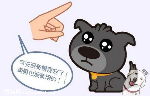 狗狗零食隱藏著這麼多學問,以後真不能亂喂了！