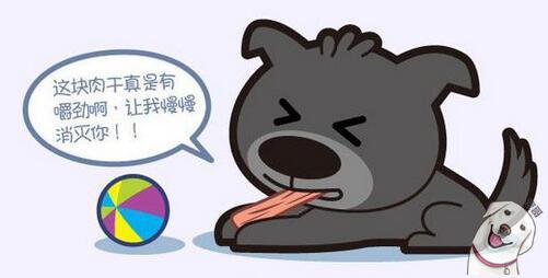 狗狗零食隱藏著這麼多學問,以後真不能亂喂了！