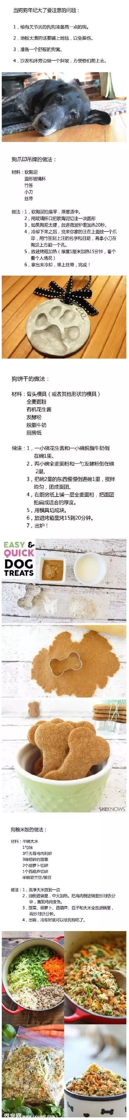 這樣的養狗手冊，你應該收藏一份！