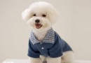 狗狗衣服穿衣全面分析