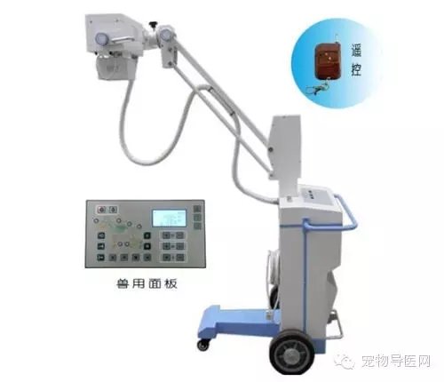 【專業知識】動物醫院CT.核磁.X光.B超臨床檢查分工各不同