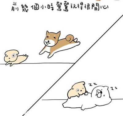 小狗狗突然沒來由悶悶不樂，到底發生什麼事呢?