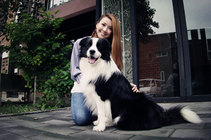 了解邊境牧羊犬以及訓練方法要點