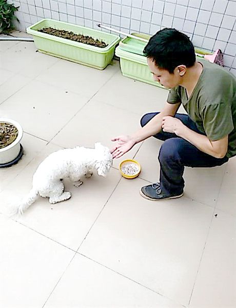 再讓狗狗停留在原地等待
