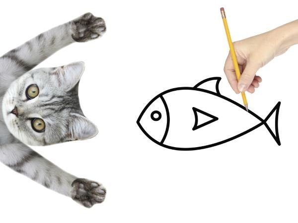 【鏟屎官注意！】這些魚和海鮮貓咪不能吃！-蠢萌說