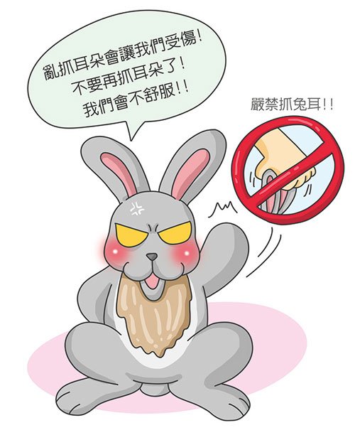 神奇的兔耳朵不要亂抓