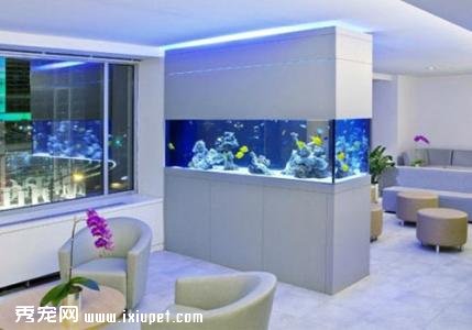 挑選水族箱設備 造景設計有學問