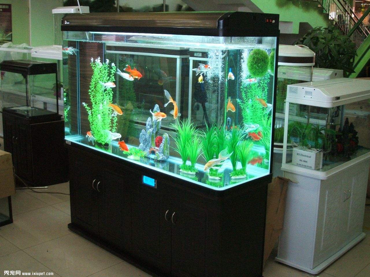 水族箱造景及配件設計