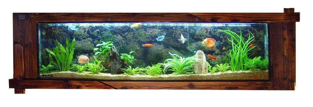 魚缸加溫、降溫作用及影響