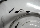 蝌蚪吃什麼蝌蚪的正確飼養方法