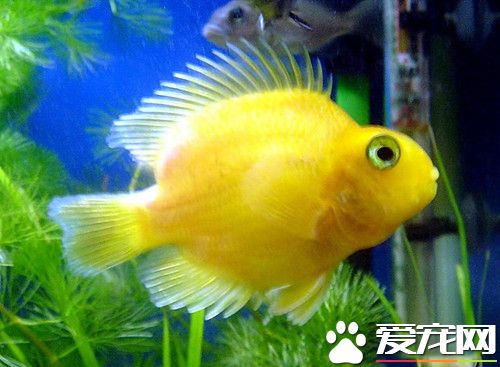 養魚過程中怎麼節能 整個循環系統處於封閉狀態