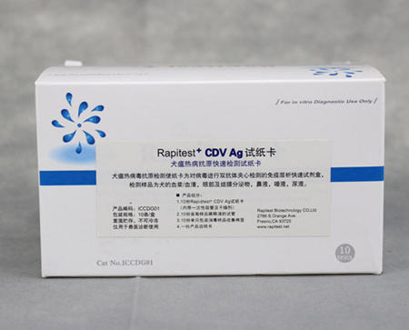 犬瘟試紙怎麼用之犬圖片