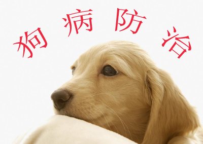 狗病防治