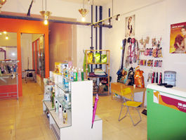 怎樣開寵物美容店